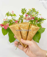 LỰA CHỌN NGUYÊN LIỆU KEM TƯƠI Ở ĐÂU VÀ NHƯ THẾ NÀO